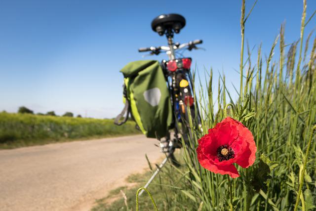Read more about the article Outdoor Aktion Radfahren                            Nächster Termin: 4. Juni 2023